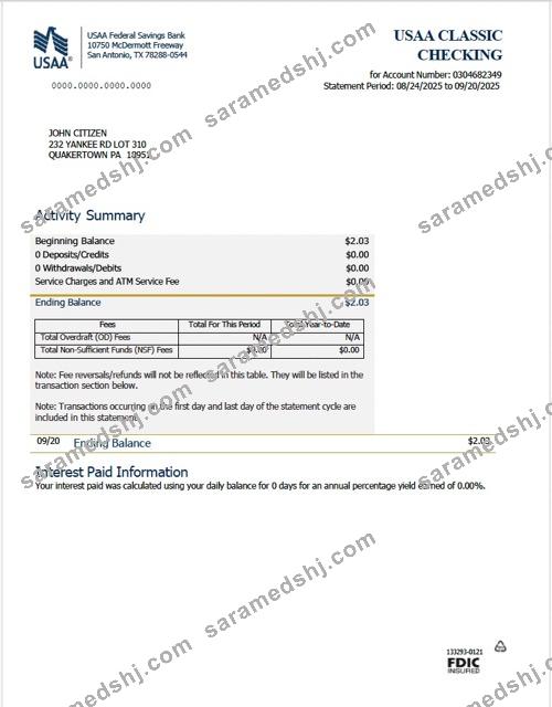 USAA Federal Savings Bank statement Word and PDF template, version 2